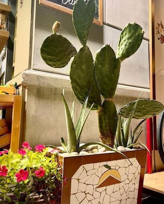 La Casa Di Eva Lägenhet Palermo Exteriör bild